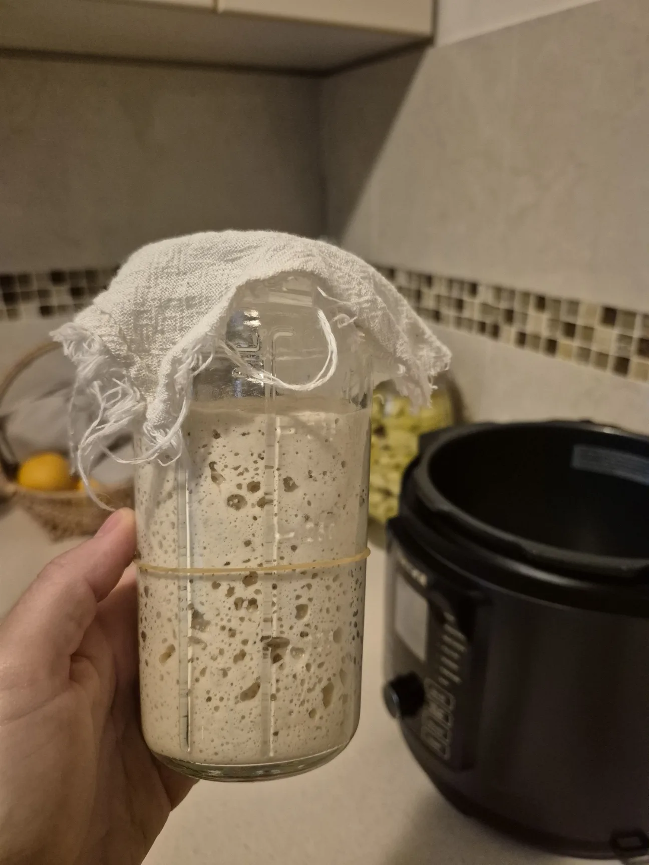 bubbly active sourdough starter