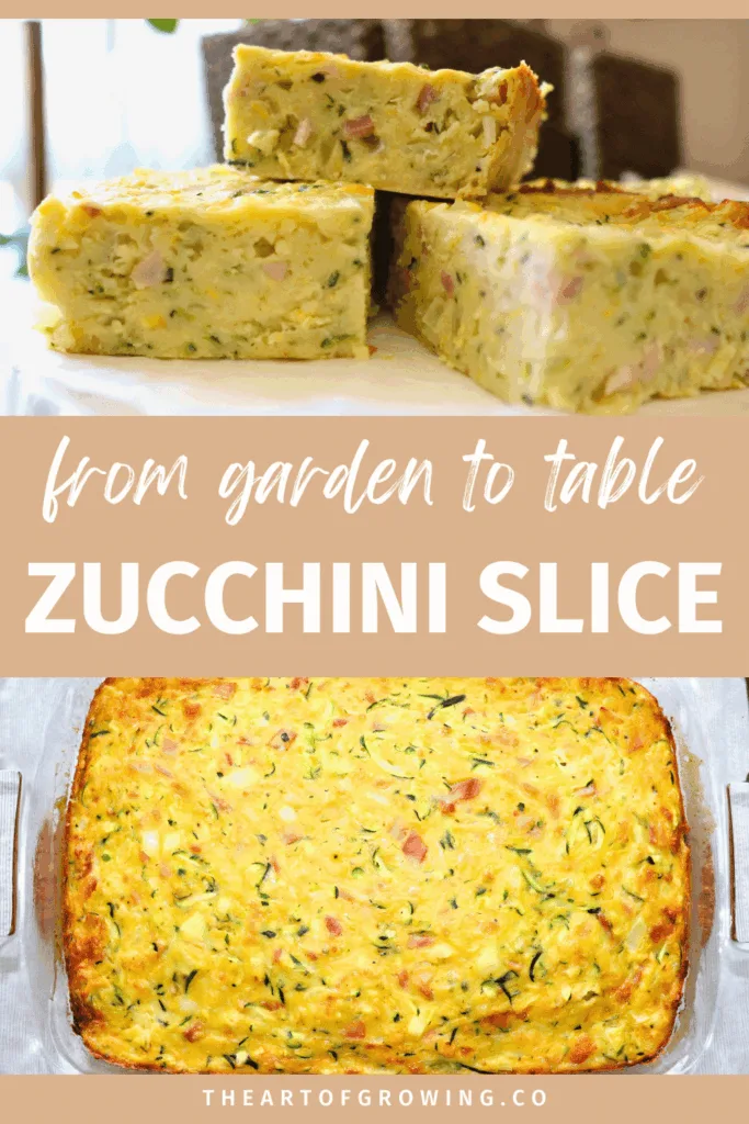 zucchini slices on white plate and whole backed zucchini slice in bake tray