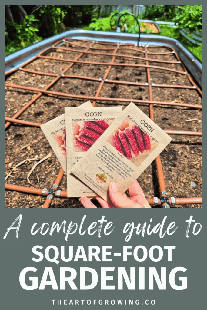 seed packets in front of garden bed with grid reticulation