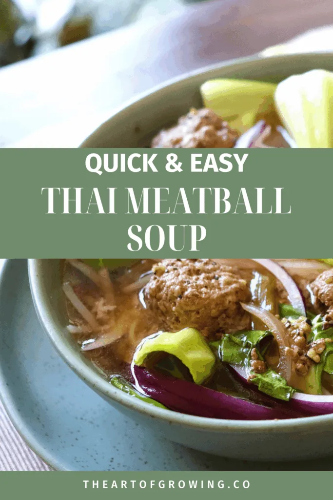 beef meatball soup in green bowl sitting on green plate