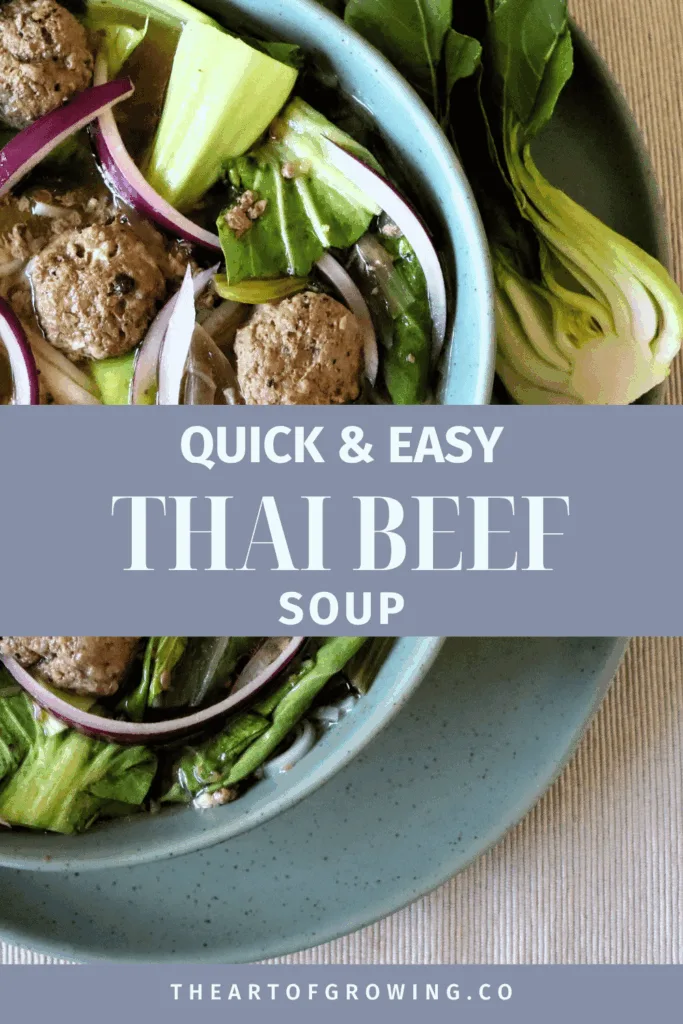 bok choy and beef meatballs in green bowl with text on light blue/purple background