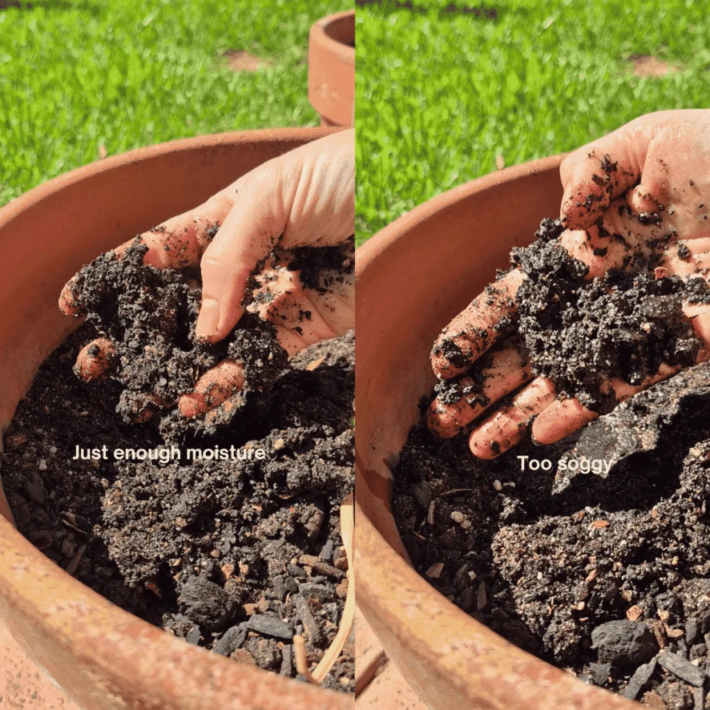text overlay showing soil difference in moisture