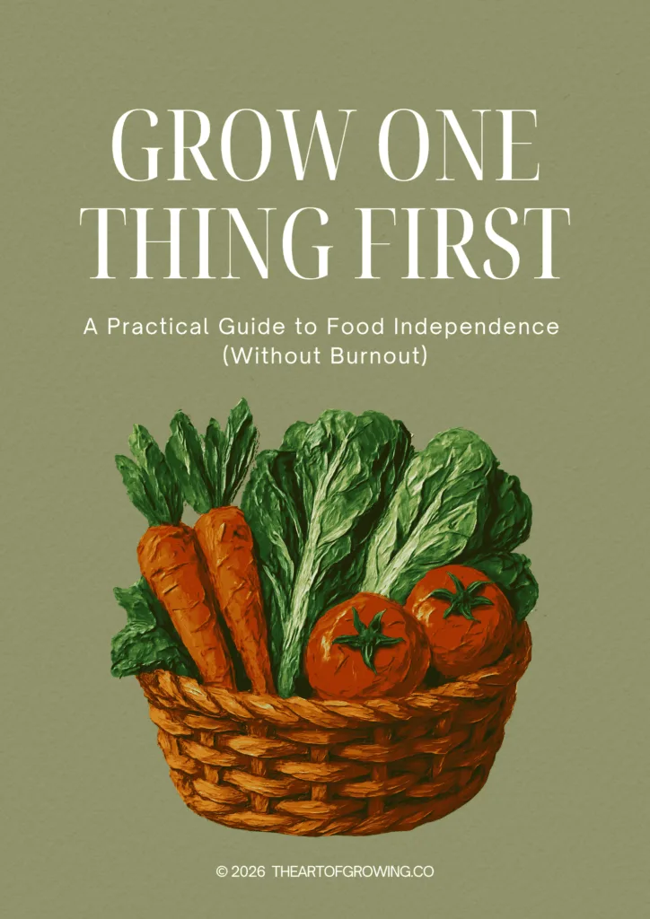 wicker basket of carrots, tomatoes and lettuce