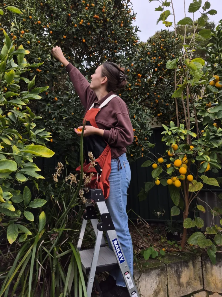 female standing on ladder picking fruit