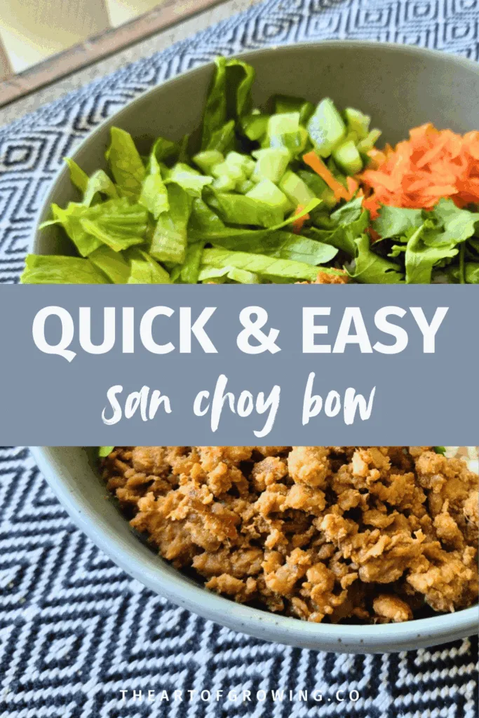 lettuce, carrots, cucumber and beef mince in green bowl on black and white chevron placemat
